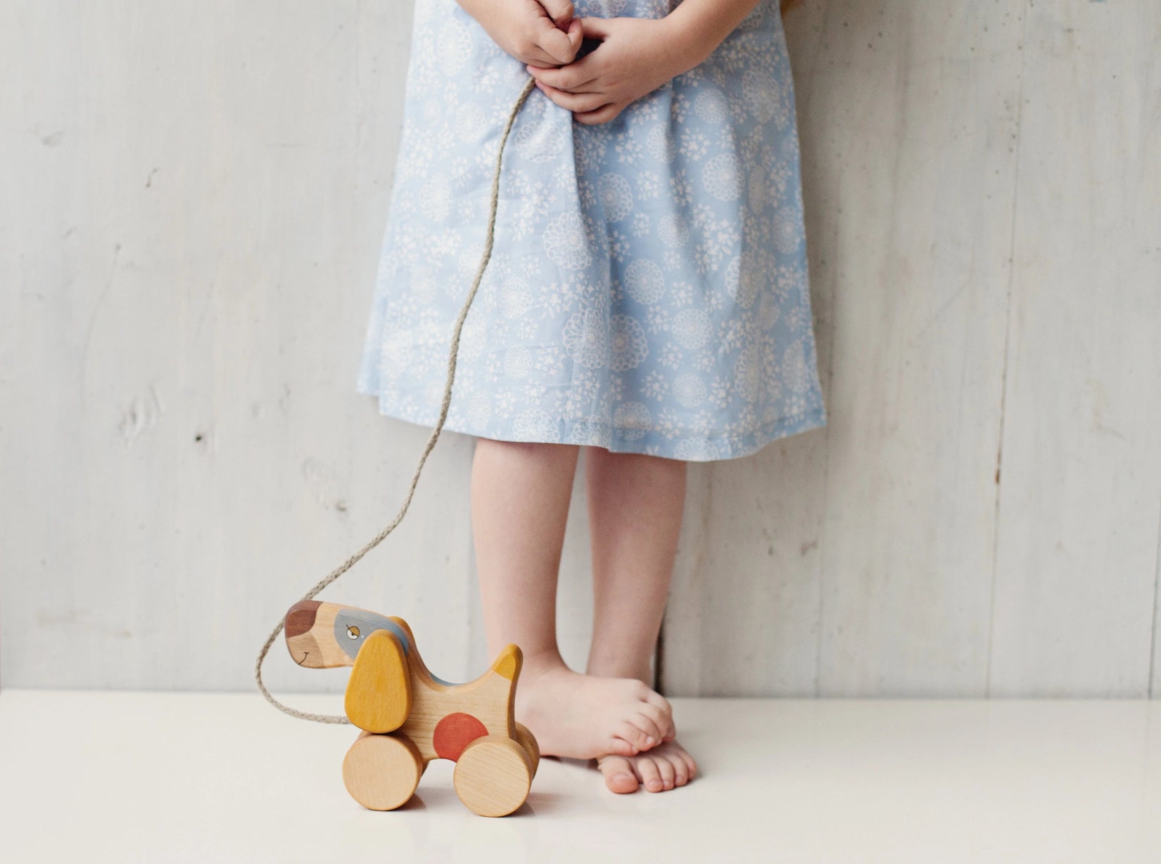 Pull Toy Terrier Dog