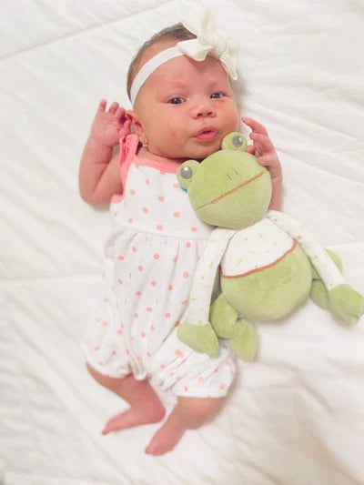 Gemba the Frog Soft Toy