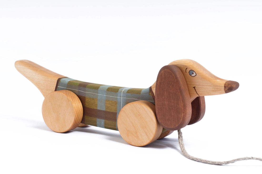 Sausage Dog Pull Toy - Green