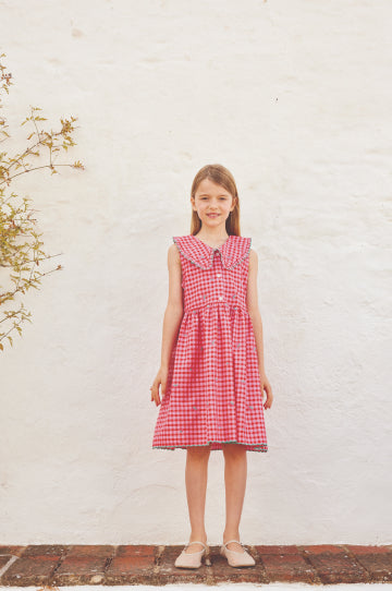 Alisa Dress Raspberry Check
