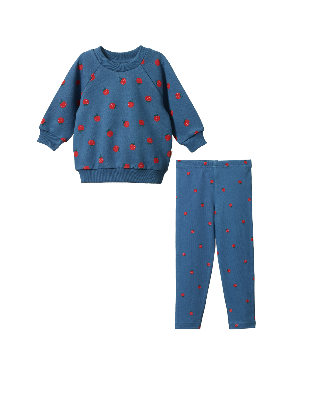 Raspberry Blue Sweater &amp; Leggings Baby Set