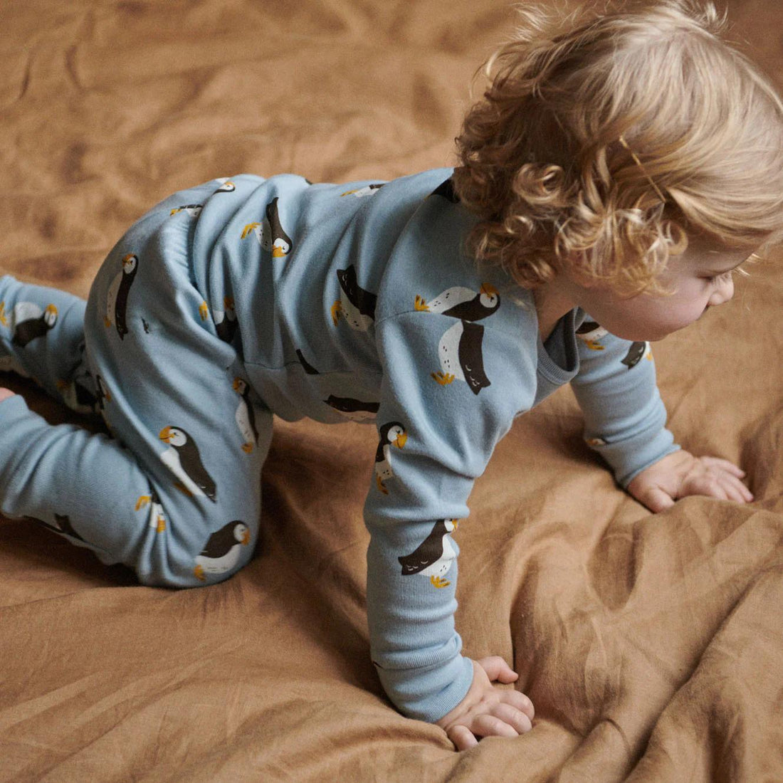 Long Sleeve Pyjama Set - Puffin Print