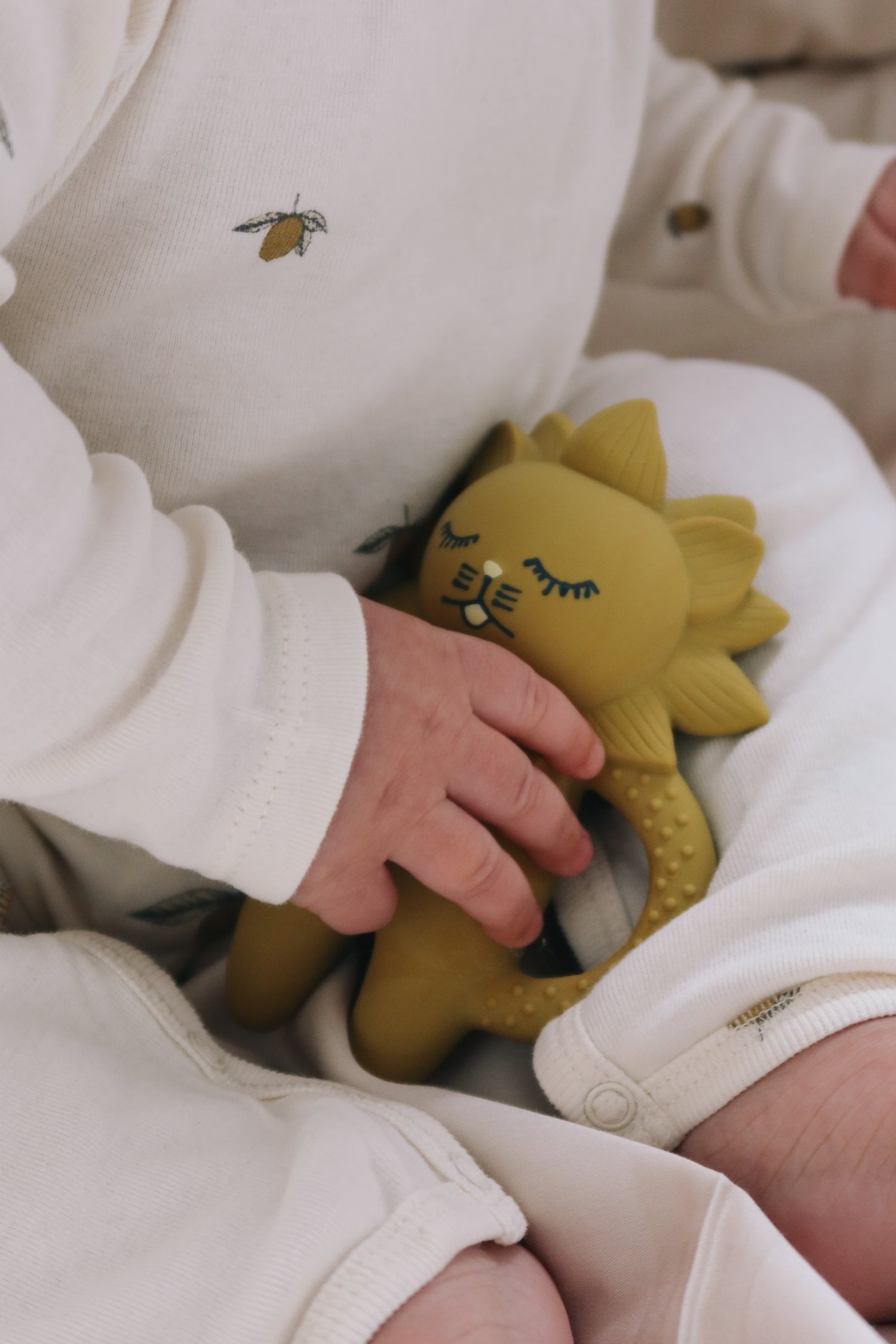 Teether Lion
