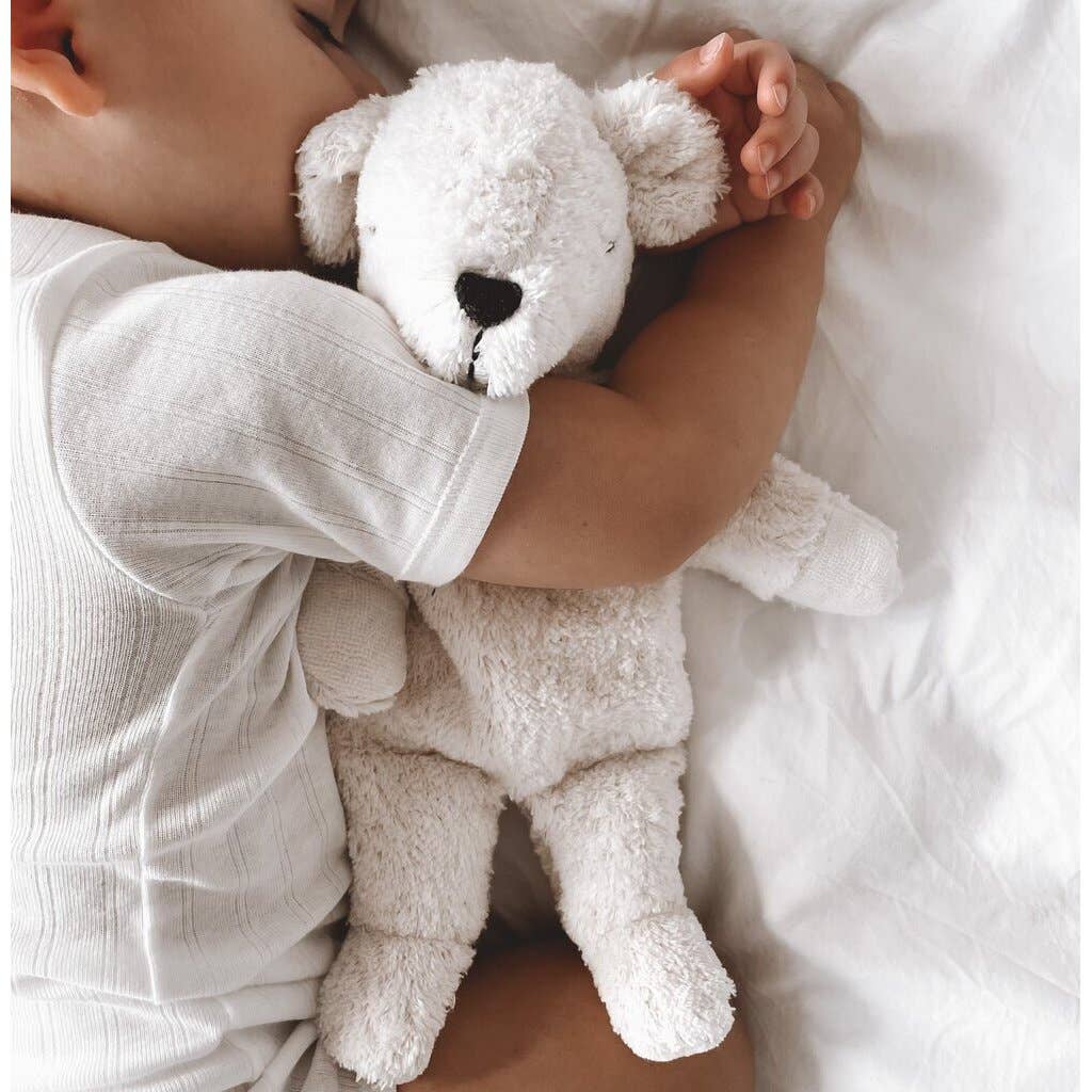 Cuddly Animal Polarbear