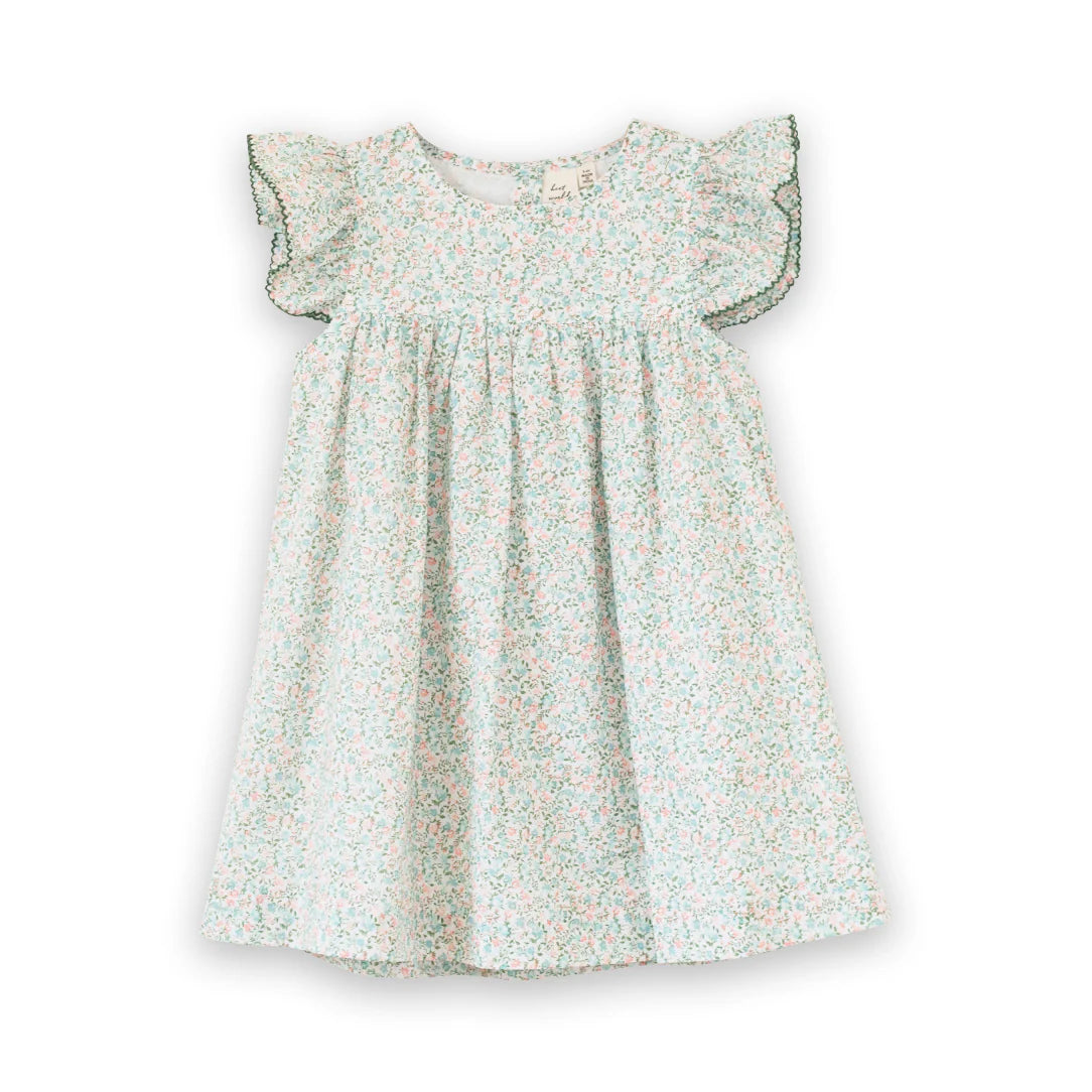 Baby Hannah Dress with Flutter Sleeves | Pastel Green and Peach
