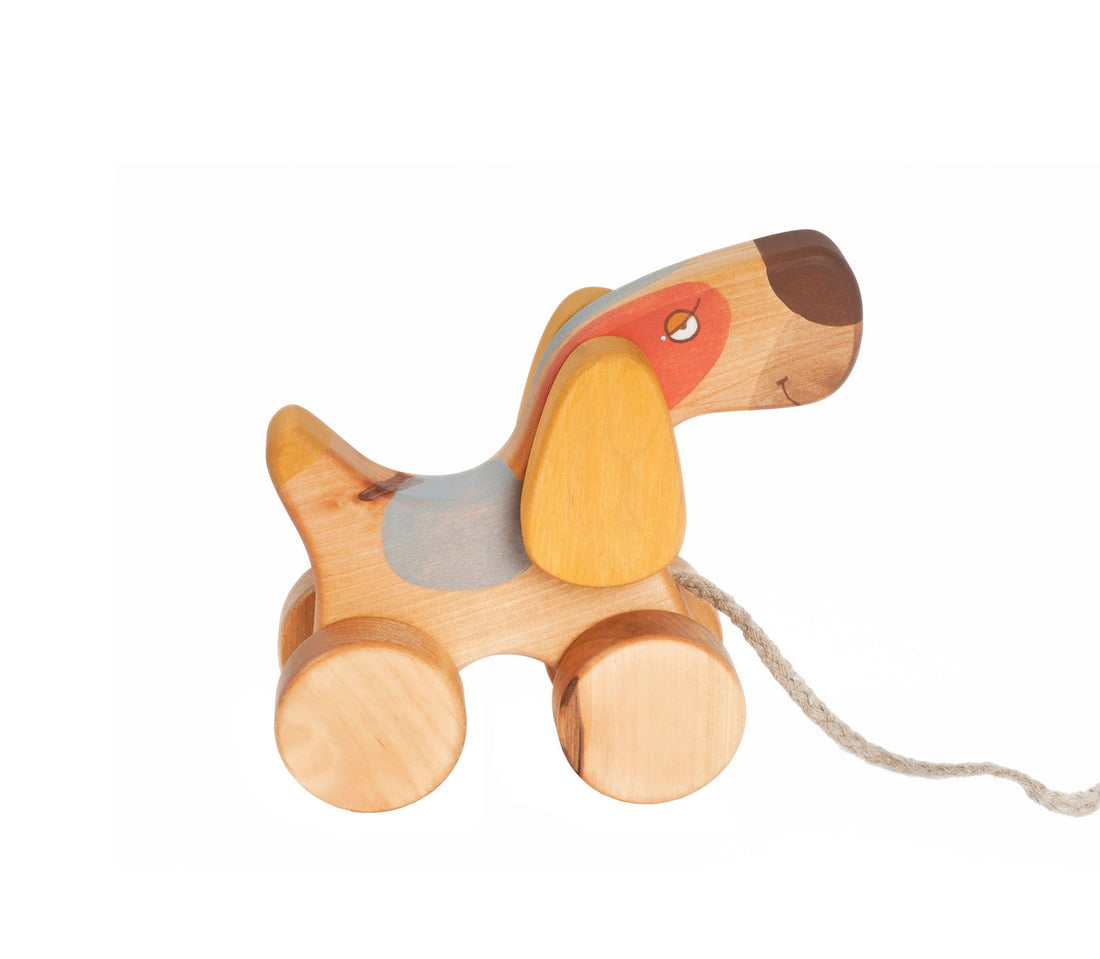 Dog Pull Toy