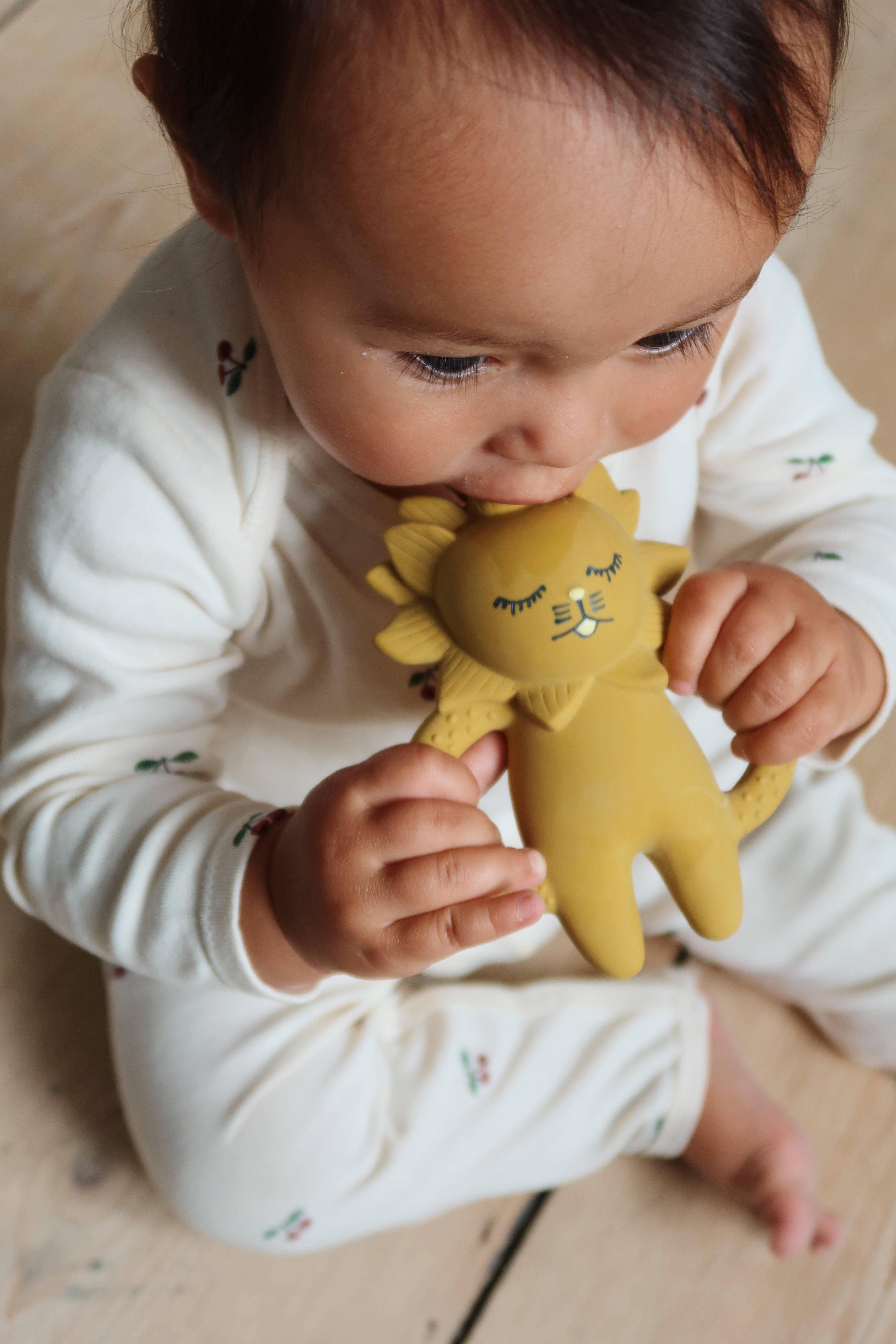 Teether Lion