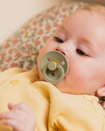 Bibs Pacifier 2 Pack - Ivory/Sage