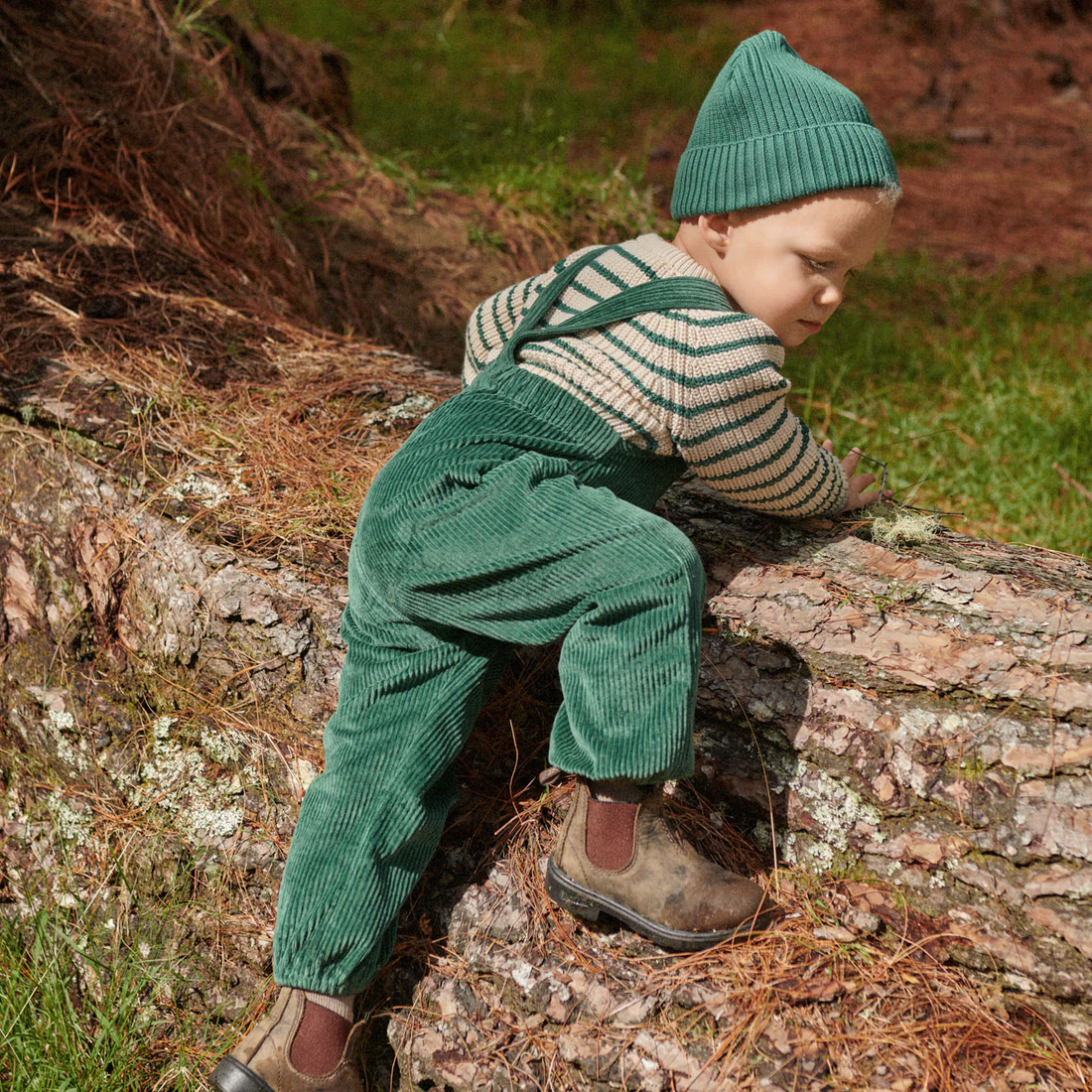 Tipper Overalls - Pine