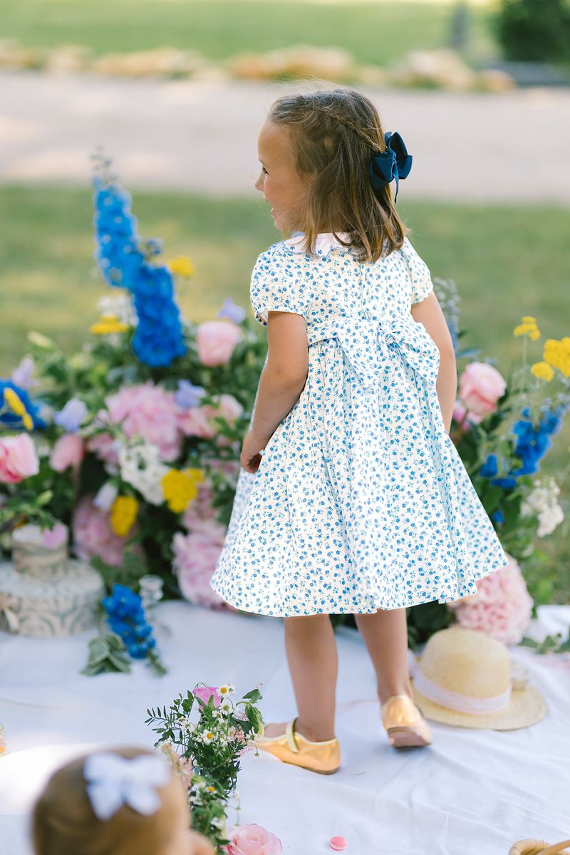 Isadora Floral Blue Short Puff Empire Baby Dress