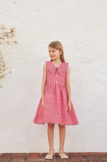 Alisa Dress Raspberry Check