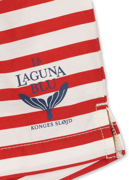 Asnou Swim Shorts