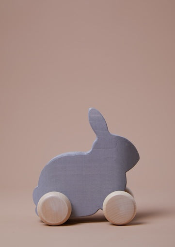Bunny Vehicle