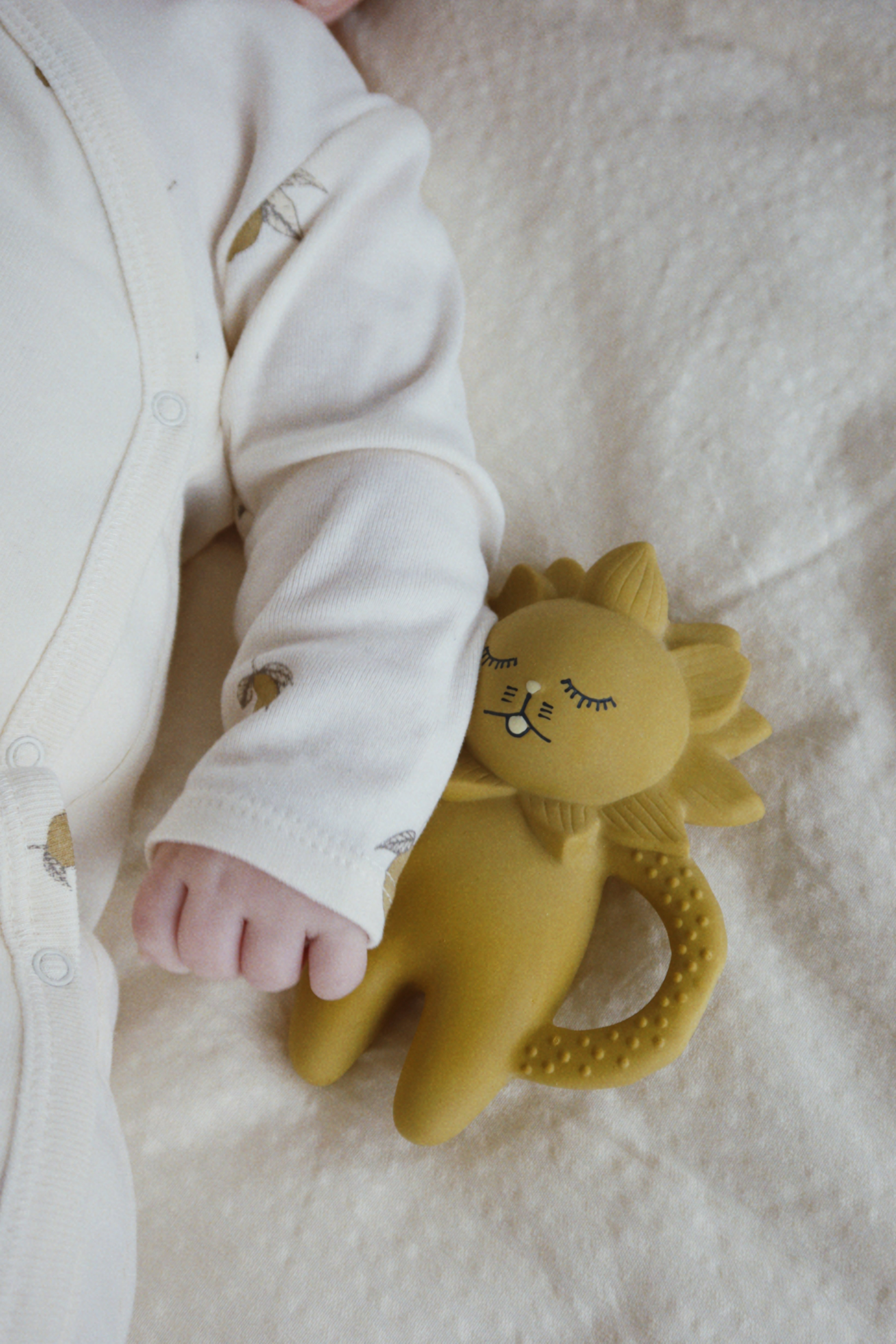 Teether Lion