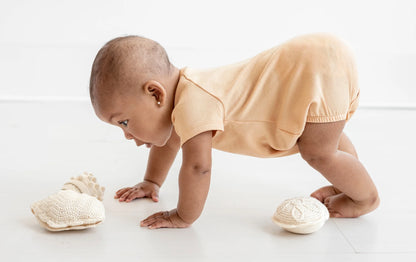 Sand Dollar Rattle