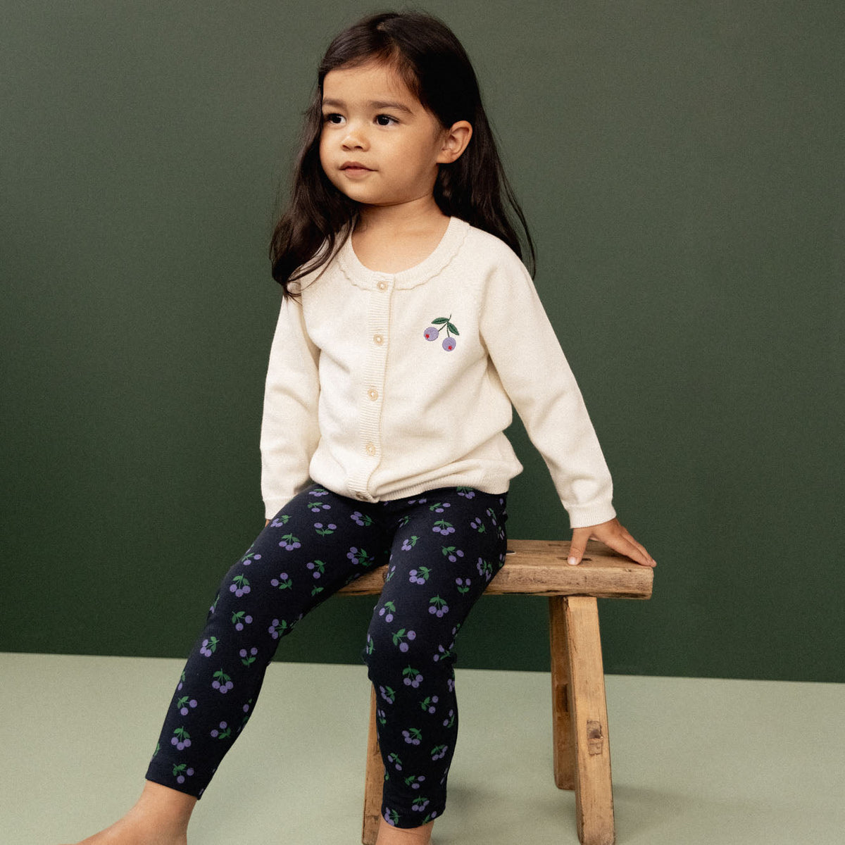 Winter Berry Set