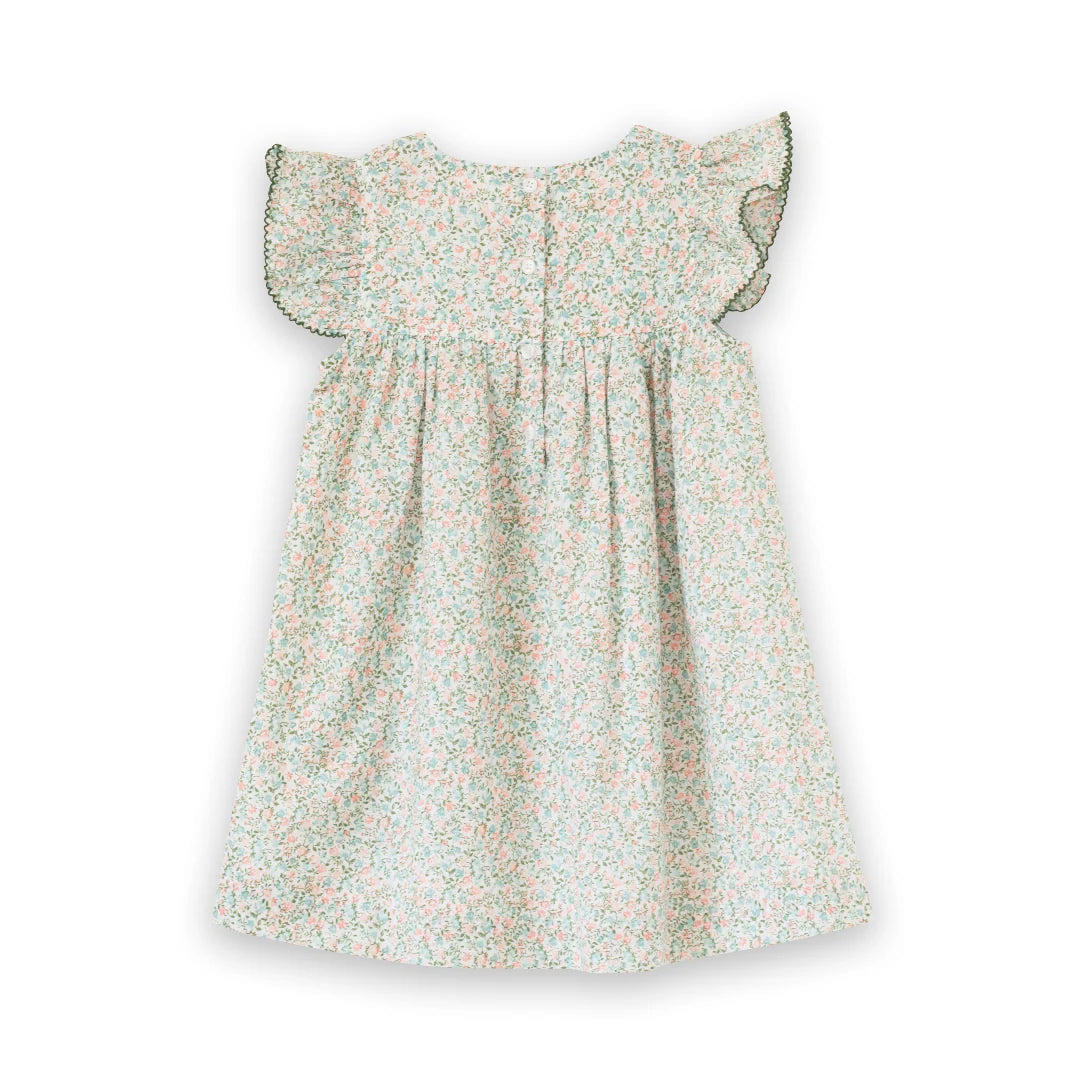 Baby Hannah Dress with Flutter Sleeves | Pastel Green and Peach