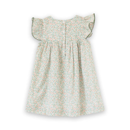 Baby Hannah Dress with Flutter Sleeves | Pastel Green and Peach