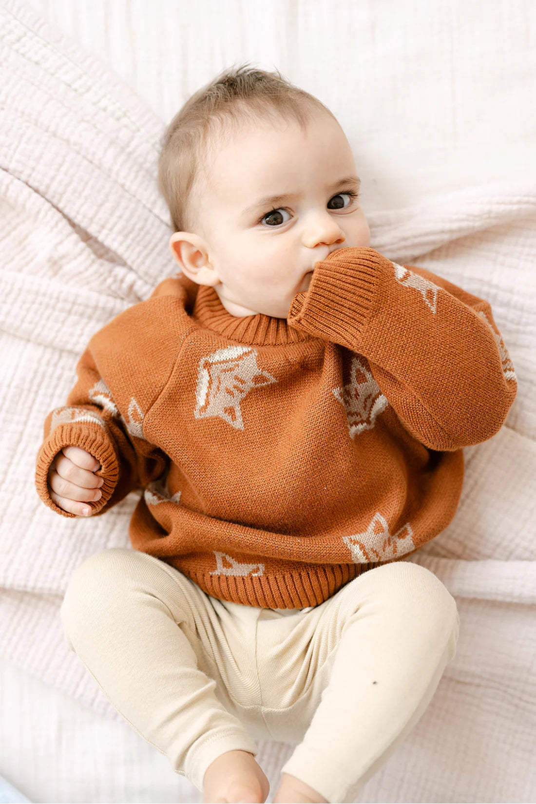 Organic Fox Knit Sweater in Mocha Bisque