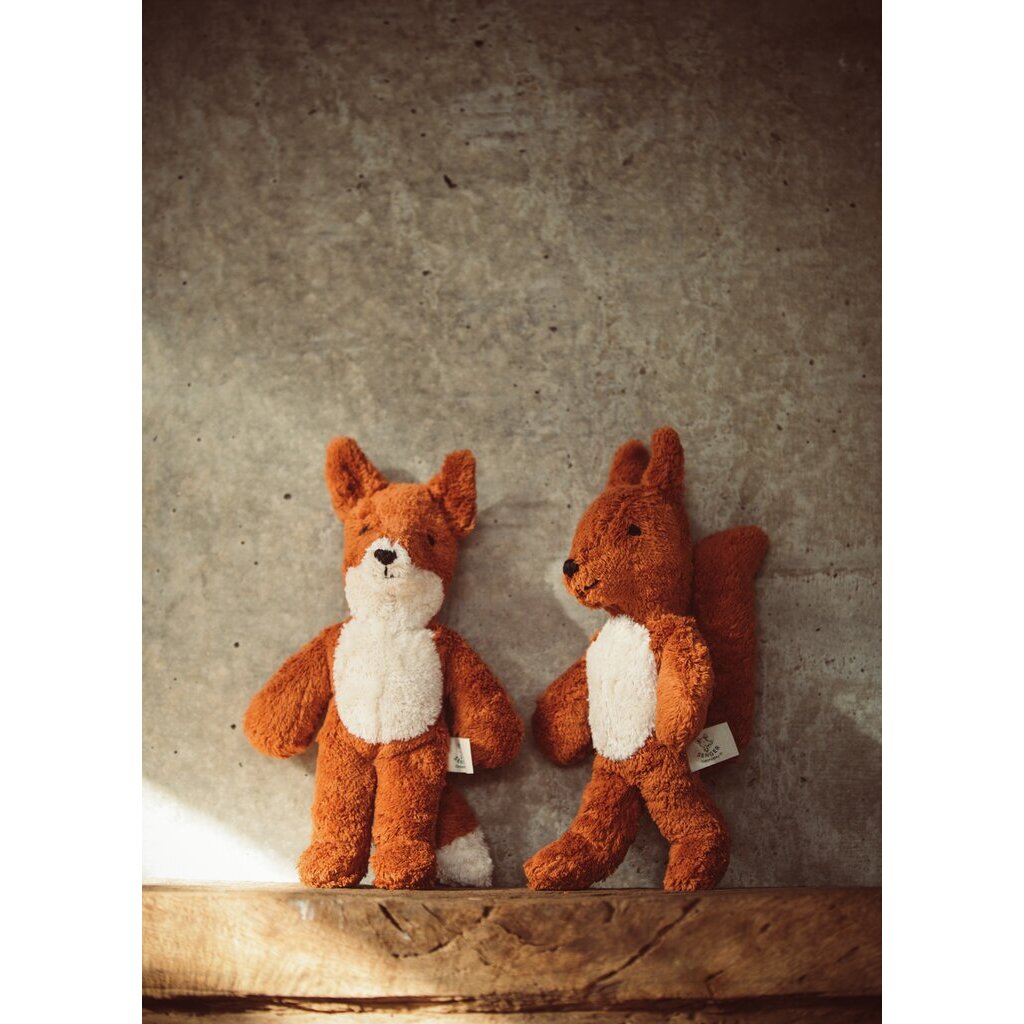 Floppy Animal Squirrel