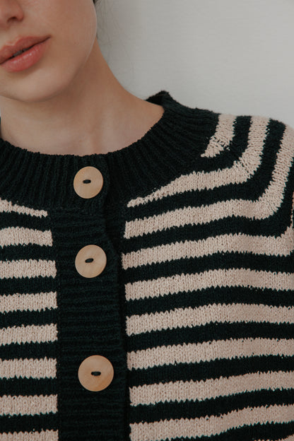 Striped Bomber