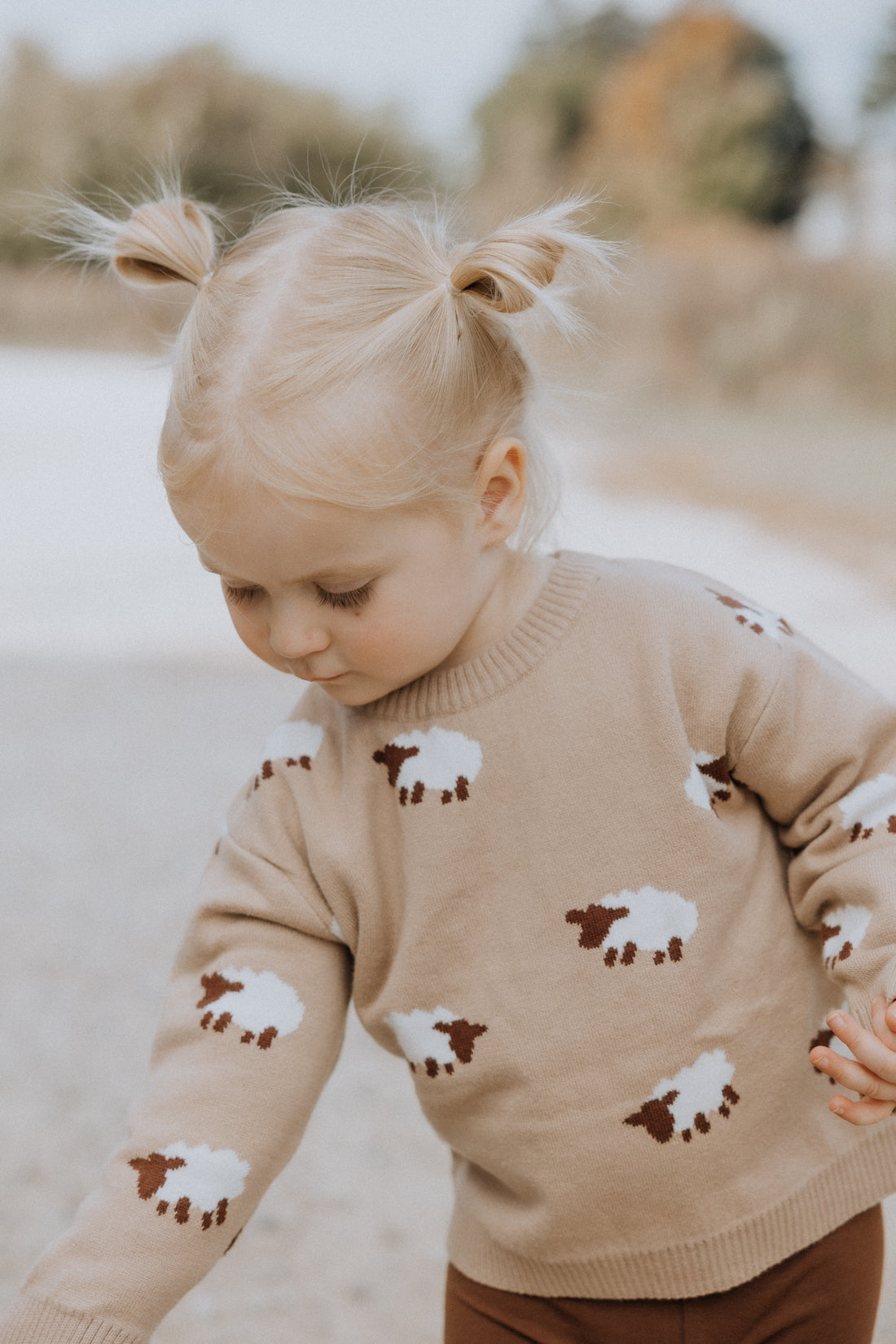 Baa Baa Sheep Jacquard Sweater