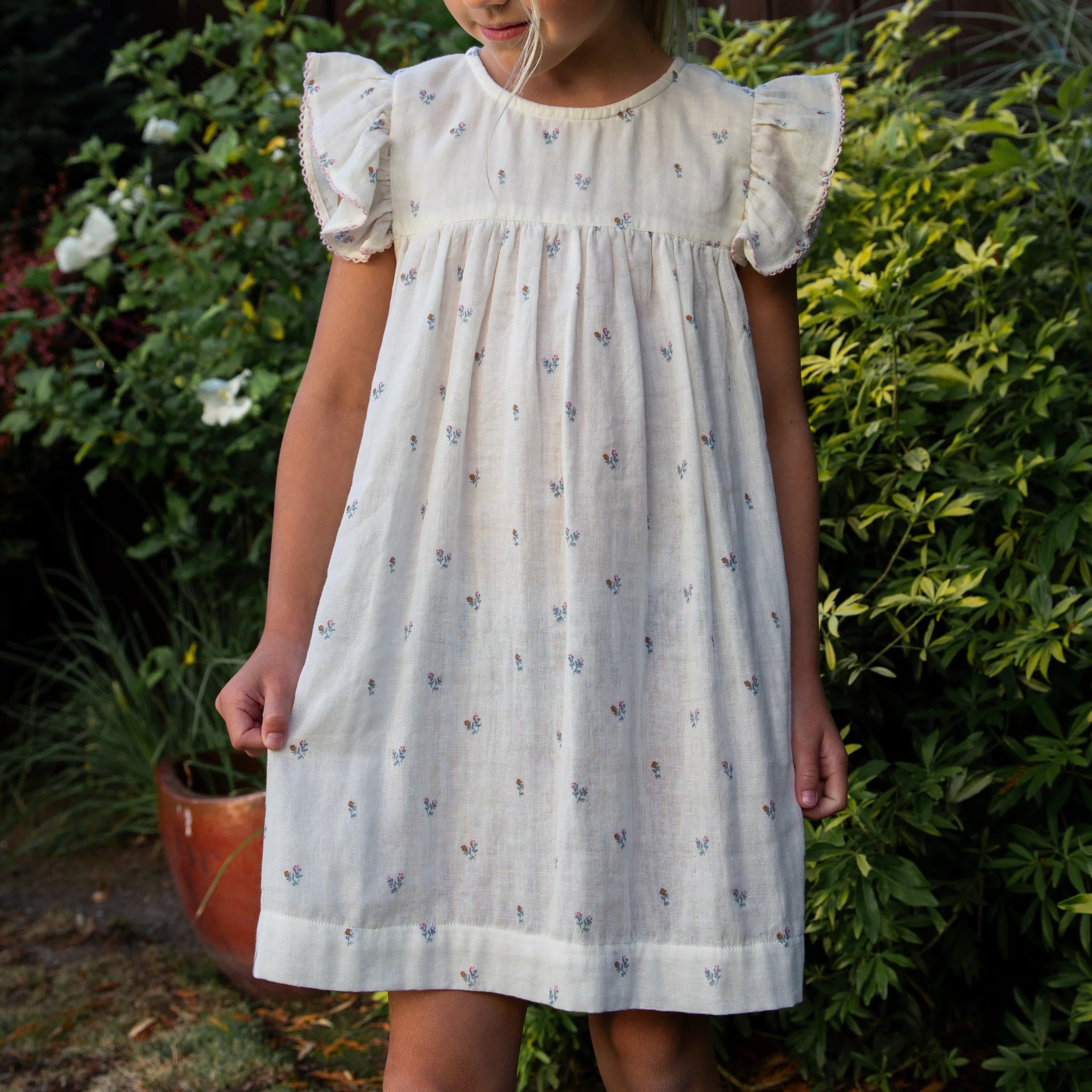 Hannah Baby Dress with Flutter Sleeves | Petit Floret