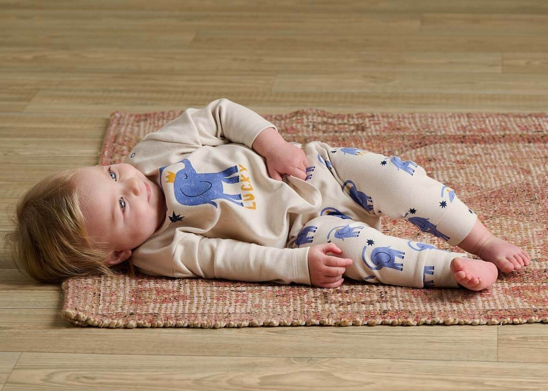 Dumbo - Long Sleeve Baby T-Shirt - Lucky